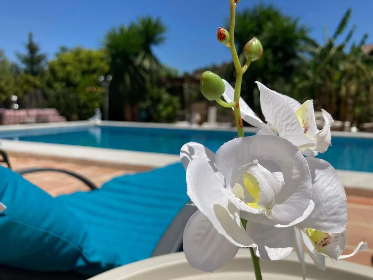 Finca Del Gecko Alhaurín el Grande Ισπανία